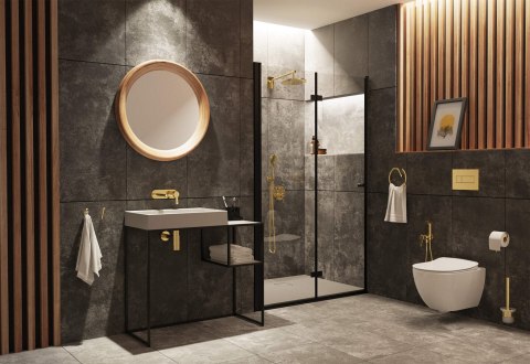 Miska WC z deską bezkołnierzowa Miska WC z deską bezkołnierzowa