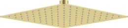 Głowica prysznicowa stalowa - 250x250 mm