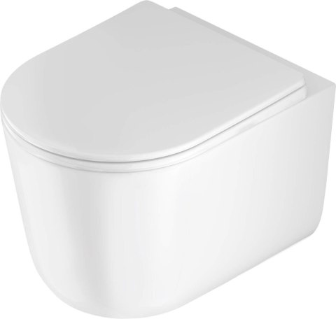 Miska WC z deską bezkołnierzowa Miska WC z deską bezkołnierzowa