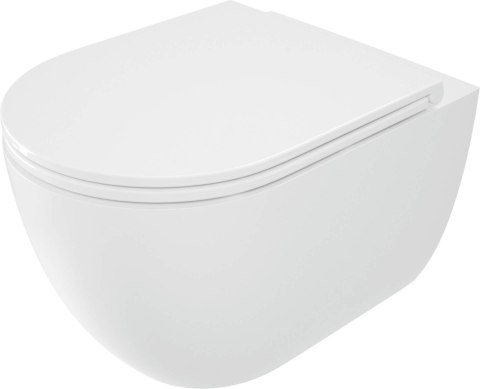 Miska WC z deską bezkołnierzowa Miska WC z deską bezkołnierzowa