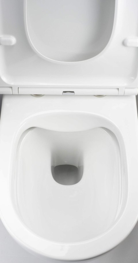 Miska WC z deską bezkołnierzowa Miska WC z deską bezkołnierzowa