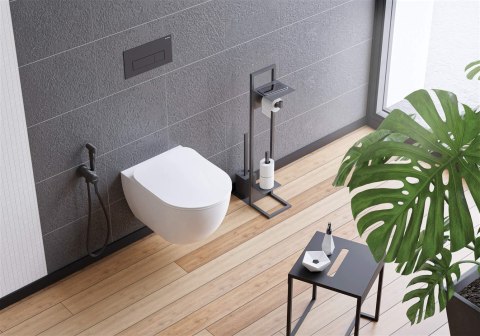 Miska WC z deską bezkołnierzowa Miska WC z deską bezkołnierzowa