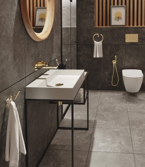 Miska WC z deską bezkołnierzowa Miska WC z deską bezkołnierzowa