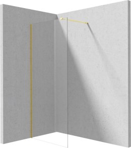 Ścianka prysznicowa walk-in 100 cm