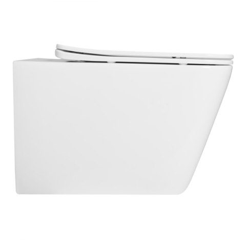 WC - RAUL RIMLESS WC - RAUL RIMLESS