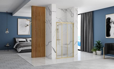 DRZWI PRYSZNICOWE ALEX BRUSH GOLD 120