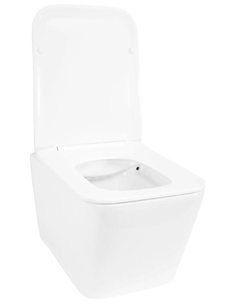 WC - JULIO RIMLESS WC - JULIO RIMLESS