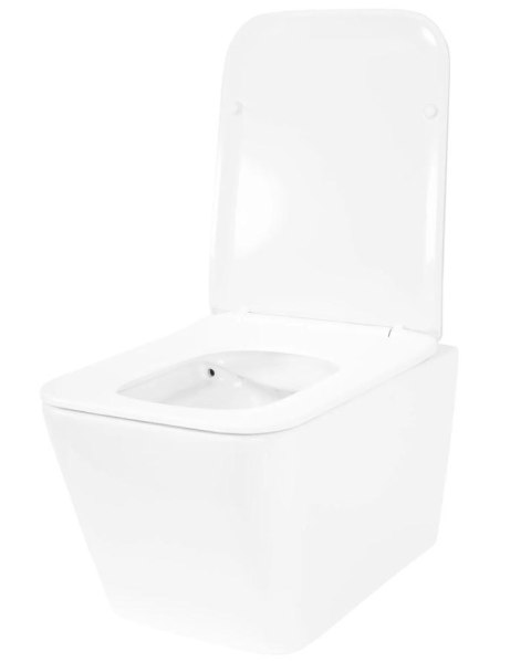 WC - JULIO RIMLESS WC - JULIO RIMLESS