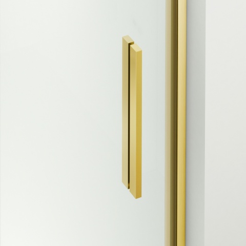 Drzwi prysznicowe rozsuwane Porta - GOLD 120 cm