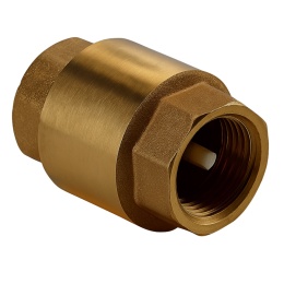 Zawór zwrotny do wody ze sprężyną PN10 2'' (DN50) TRINNITY