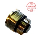 Zawór zwrotny NPW do zaworu szybkoodpowietrzającego DN15 1/2''