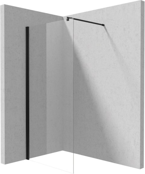 Ścianka prysznicowa / walk-in systemu Kerria Plus 100 cm Ścianka prysznicowa / walk-in systemu Kerria Plus 100 cm