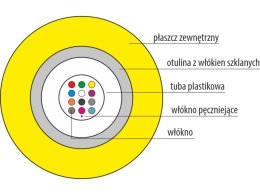 Kabel światłowodowy B2ca jednomodowy G657.A1 uniwersalny trudnopalny 
