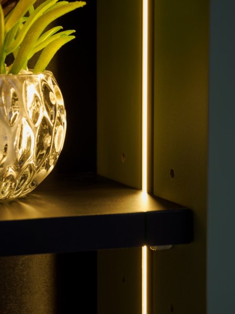 Szafka wysoka, jednodrzwiowa z podświetleniem LED SOMBRA GREEN
